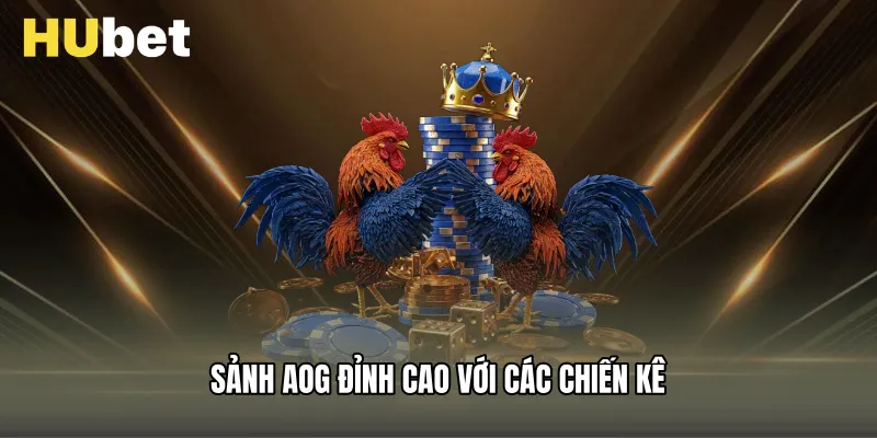 Sảnh AOG đỉnh cao với các chiến kê